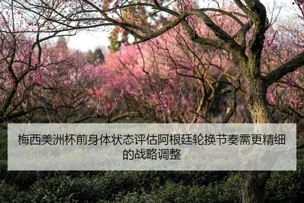 梅西美洲杯前身体状态评估阿根廷轮换节奏需更精细的战略调整