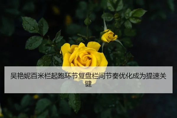吴艳妮百米栏起跑环节复盘栏间节奏优化成为提速关键