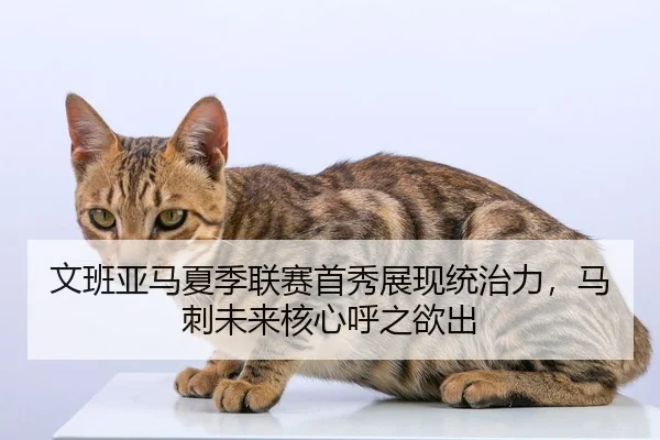 文班亚马夏季联赛首秀展现统治力，马刺未来核心呼之欲出