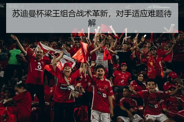 苏迪曼杯梁王组合战术革新，对手适应难题待解