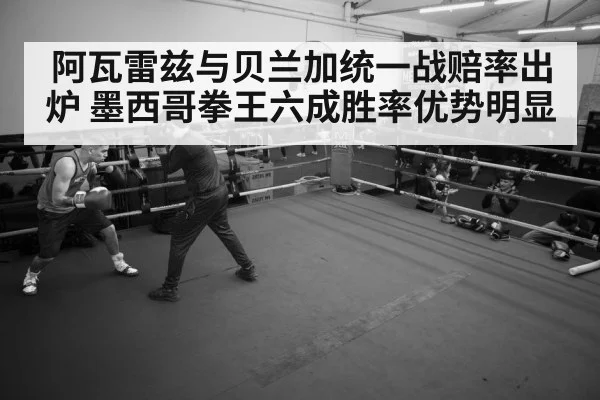 boxer training gym