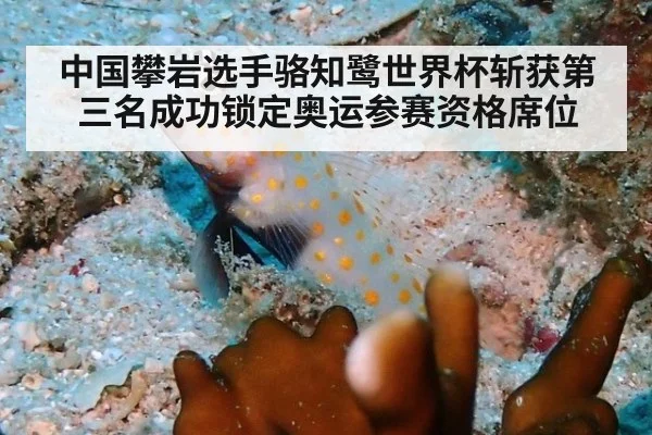 中国攀岩选手骆知鹭世界杯斩获第三名成功锁定奥运参赛资格席位